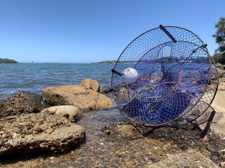 Guide To Managing Marine Flares - Pinellas County